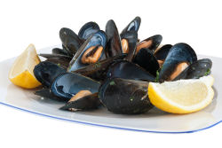 Cooked blue mussel.
