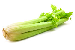 Stalks of celery.
