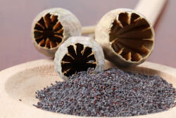 Poppy seeds with dried poppy pods in a bowl.