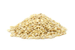 Barley grain.