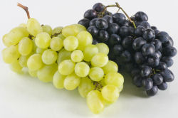 Green and black grapes on the stem.