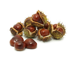 Shelled and unshelled chestnuts.