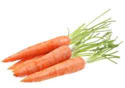 Carrots with green tops.