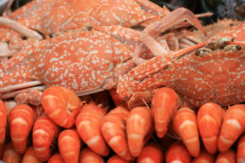 Crustacean Shellfish at a market.