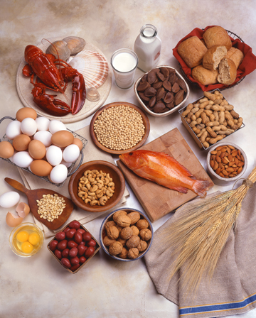 photo of various foods in a grouping, lobster, eggs, seeds, nuts, etc.