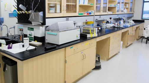 NIC lab
