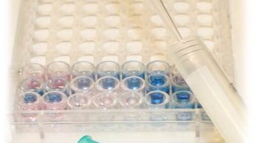 testing samples
