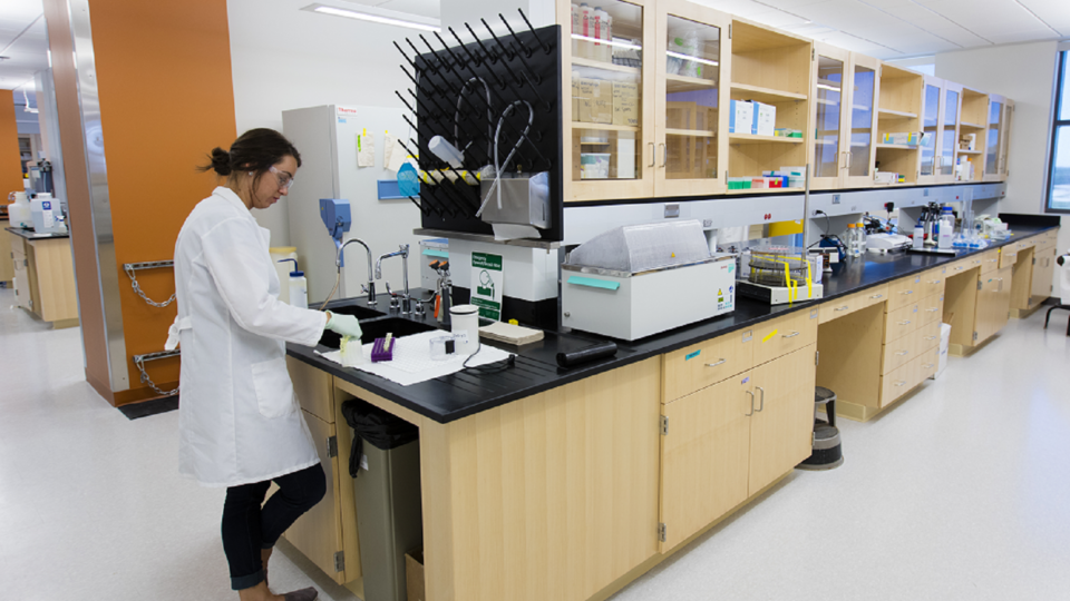Student working in NIC lab