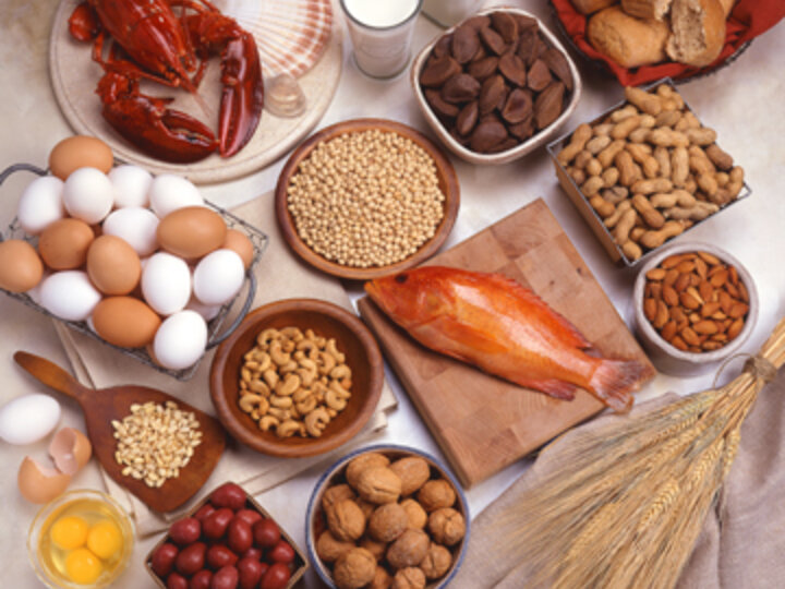photo of various foods in a grouping, lobster, eggs, seeds, nuts, etc.