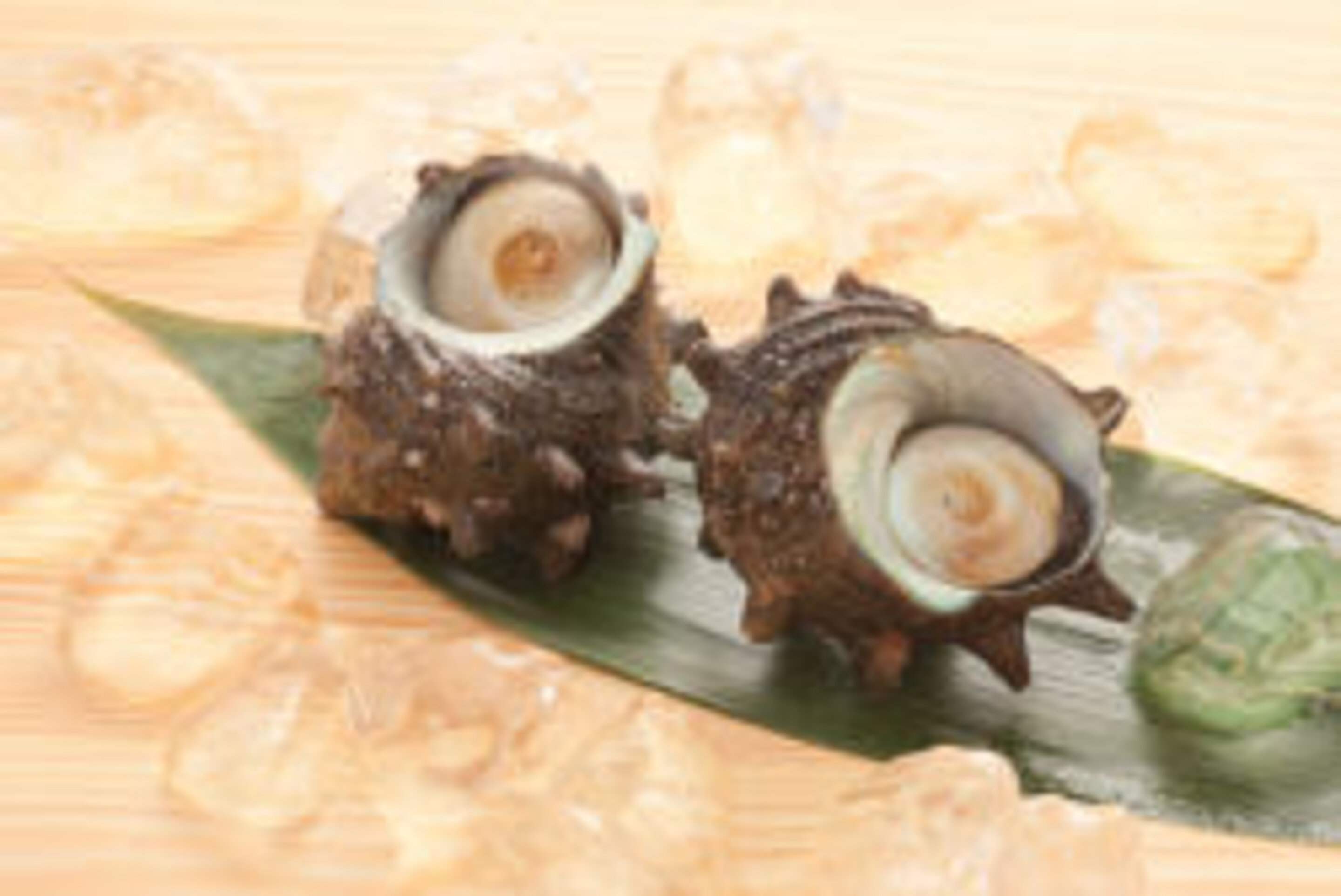 Molluscan Shellfish | Food Allergy Research & Resource Program | Nebraska