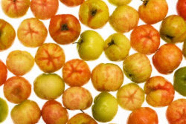 photo of uncooked acerola