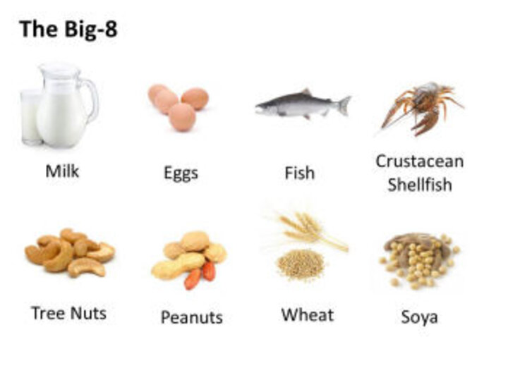 grouping of milk, eggs, fish, shellfish, nuts, peanuts, wheat and soy