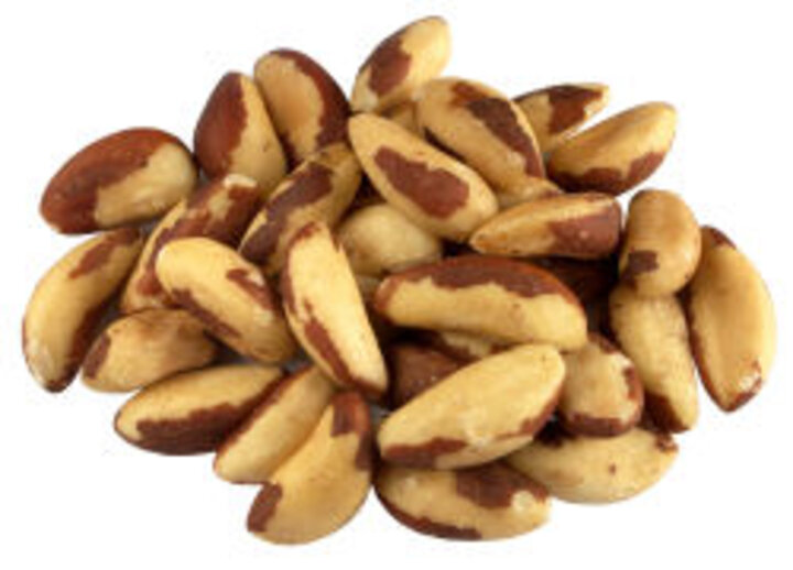 photo of brazil nut not in shell