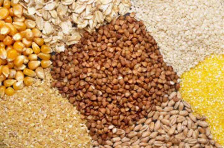 Photo of group of various cereal grains