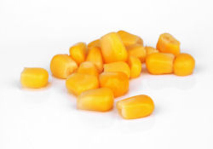 photo of corn kernels