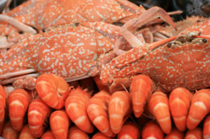 photo of Crustacean Shellfish