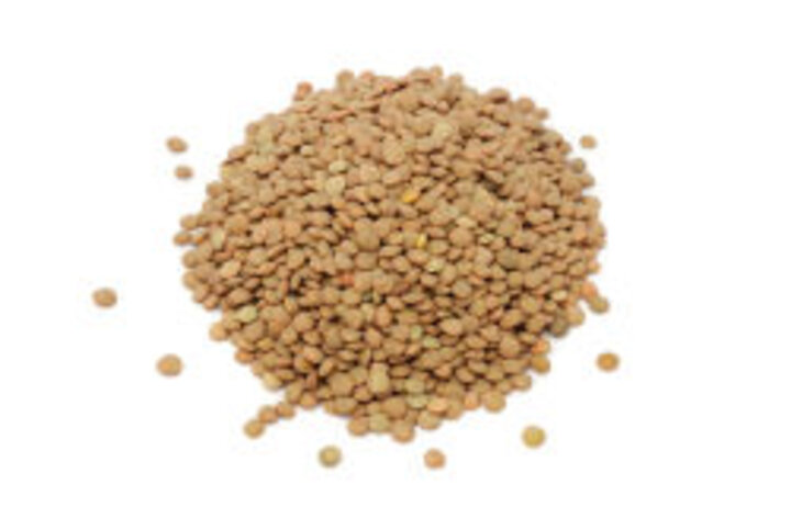 photo of uncooked lentil