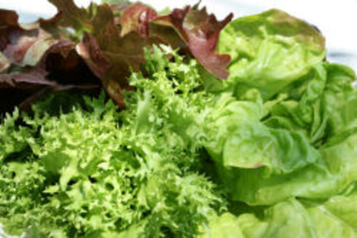 photo of red and green lettuce