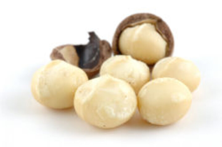 photo of macadamia nuts 