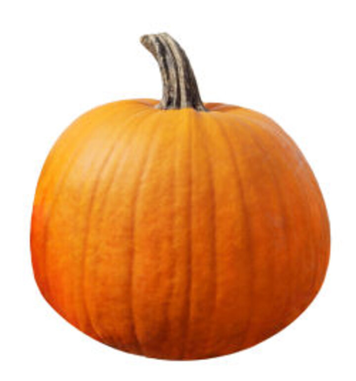 photo of whole pumpkin