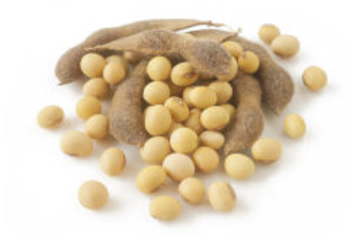 photo of soybeans