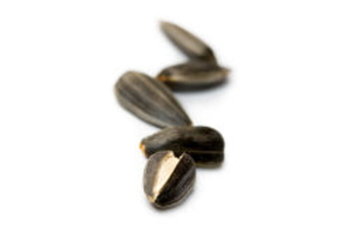 photo of sunflower seeds